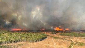 Kanada orman yangınları nedeniyle OHAL ilan edildi